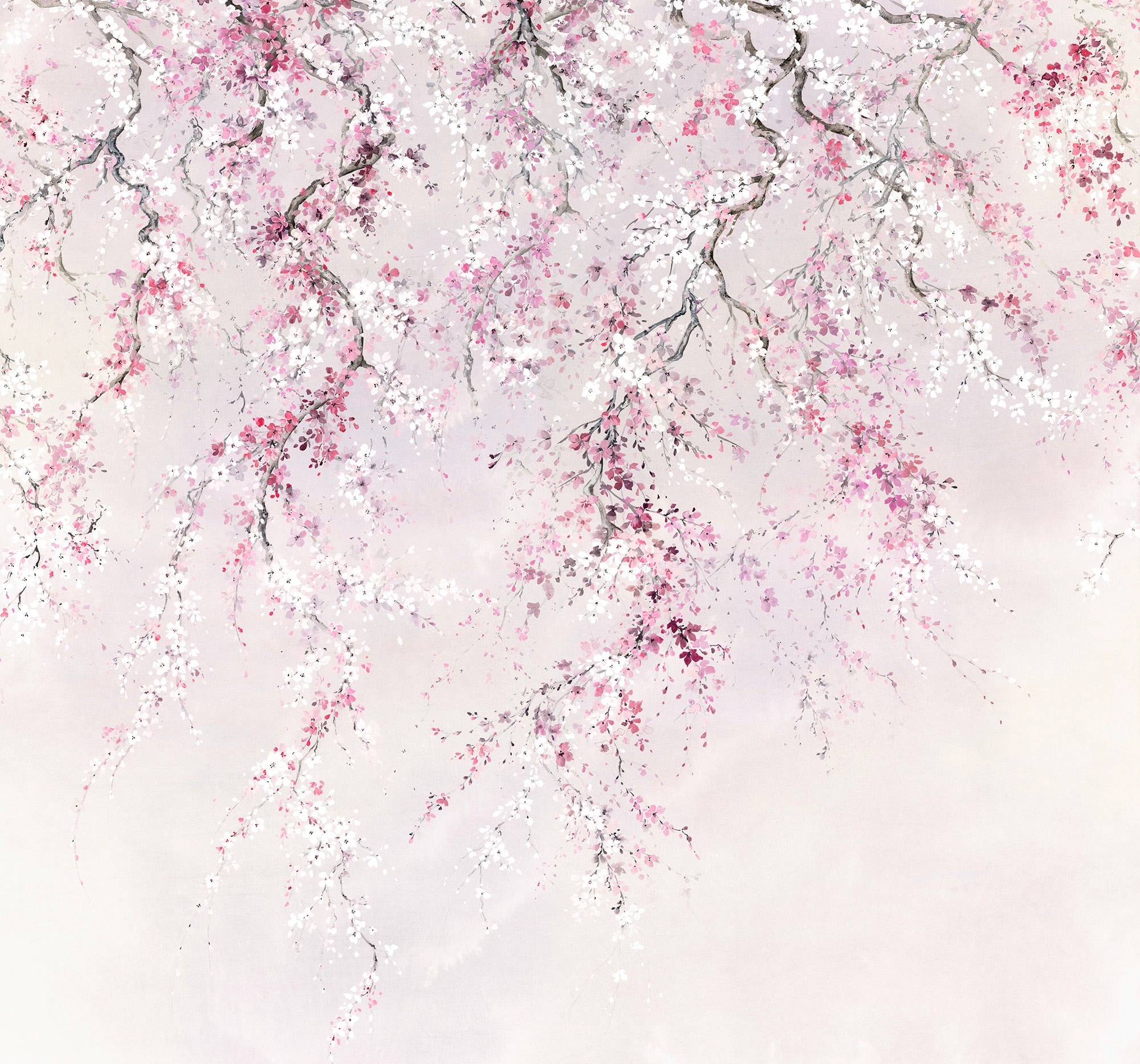 KOMAR Vliestapete "Kirschblüten" Tapeten 300x280 cm (Breite x Höhe) Gr. B/L: 300 m x 280 m, Rollen: 1 St., rosa (rosa, weiß) Blumentapeten