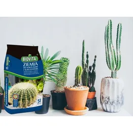 Biovita Kakteenerde 5 l