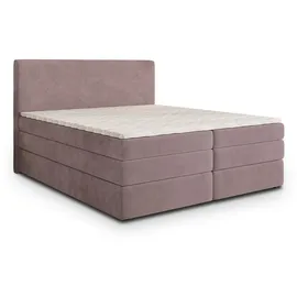 masseno MATERN 160 x 200 cm H2 Rosa