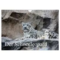 Calvendo Der Schneeleopard (Wandkalender 2026 DIN A4 quer), CALVENDO