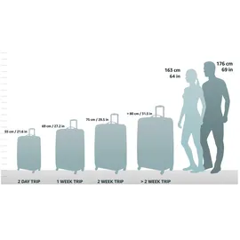 Crash Baggage Icon 4-Rollen Cabin 55 cm / 40 l silber