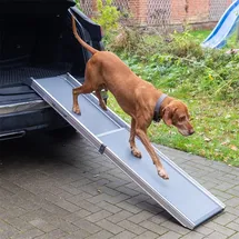 Trixie Teleskop-Hunderampe Auto-Einstiegshilfe grau 100 – 180 cm