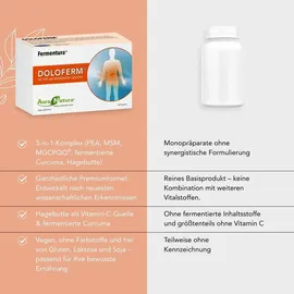 Pharmatura GmbH & Co. KG AuraNatura Fermentura Doloferm 60 st