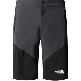 The North Face Felik Slim Tapered Shorts (Größe L, grau)