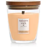 yankee candle s.r.o. nature's wick Mittelgroße Kerze im Glas, Bergamot & Neroli,