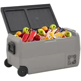 vidaXL Kühlbox mit Rollen und Griff Schwarz & Grau 60 L PP & PE