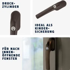 ABUS FG300 Braun