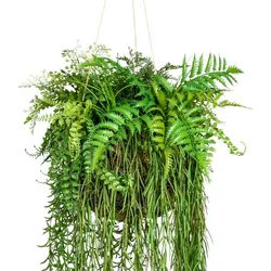 CREATIV green künstliche Pflanze Dekokugel, ca 40x120cm grün