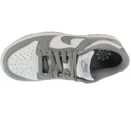 Nike Dunk Next Nature Damen Grau/Silber 36,5