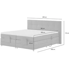 Uno Manolo 202 x 112 cm Braun