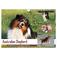 Calvendo Australian Shepherd - Hütehunde mit Familienanschluss (Wandkalender 2026