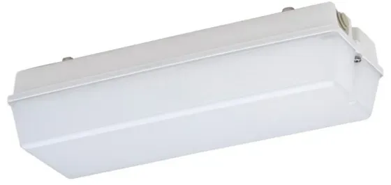 Schuch Licht LED-Notleuchte 131 L02G2/1 W MA
