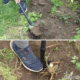 Root Slayer Spaten Root Slayer Pro