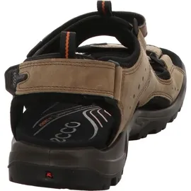 ECCO Offroad Herren nutmeg brown 48