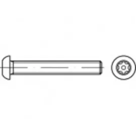TOOLCRAFT Sicherheitsschrauben M10 40 mm 100 Stück
