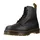 1460 Pascal Bex