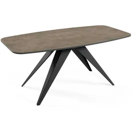 Feldmann-Wohnen Ferro 160 x 80 x 76 cm dunkelgrau