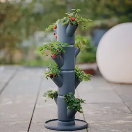 Gusta Garden Erdbeerturm Sissi Strawberry 10 L anthrazit