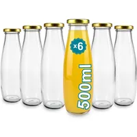 Espírito rebelde Glasflasche 500 ml 6 St.