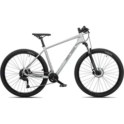 Mountainbike 29 Zoll RR700 grau XL