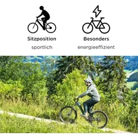 Zündapp E-Bike Z808 MTB 29 Zoll 10-Gang 550 Wh