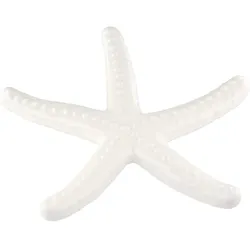 Dekoobjekt Seestern aus Porzellan creme von Gilde - maritime Dekoration