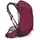 Osprey Hikelite 32 Chameleon/Black