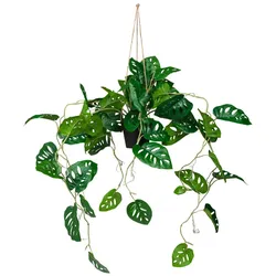 hjh OFFICE Kunstpflanze MONSTERA CLIMB Kunststoff