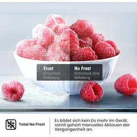 Hisense RS818N4TIC Side-by-Side (632 l, 1795 mm hoch, Edelstahl)