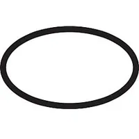 Hansgrohe O-Ring 21,95 x 1,78 mm 95169000