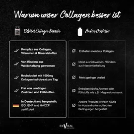 Exvital Collagen Hyaluronsäure Komplex Kapseln 120 St.