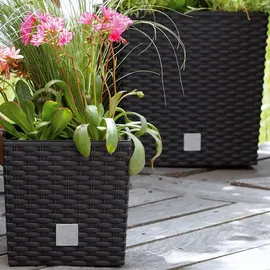 Prosperplast Rato Low 32 x 32 x 32,5 cm braun