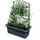 Spetebo Kunststoff Blumenkasten 80 x 59 cm Schwarz