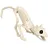 Boland Katzen-Skelett Größe 51 cm