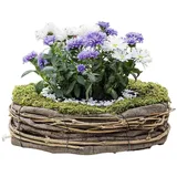 Dekoleidenschaft Pflanzschale Natur Ø 26 cm Beige