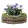Dekoleidenschaft Pflanzschale Natur Ø 26 cm Beige