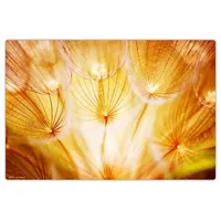 cover-your-desk.de Schreibtischunterlage – “Pusteblume im Sonnenglanz“ (L)60 x (B)40 | Gr.: onesize