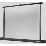 Celexon Professional 111x62 16:9