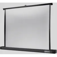Celexon Professional 111x62 16:9