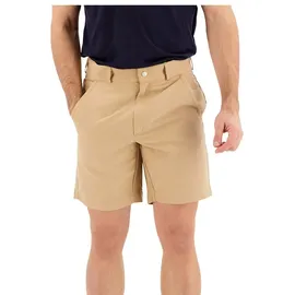 Icebreaker Hike Kurze Hose Beige 30
