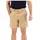 Icebreaker Hike Kurze Hose Beige 30