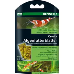 DENNERLE Nano Algenfutterblätter 2 x 40 Stück