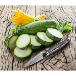 Muxel Küchenmesser-Gemüsemesser-Obstmesser oder Allzweckmesser Carbon Damast-Klinge 13 cm