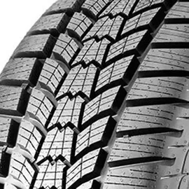 Sava Eskimo HP2 225/50 R17 98V