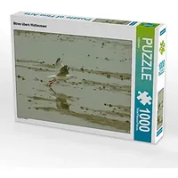 Calvendo Puzzle Möwe übern Wattenmeer 1000 Teile Puzzle quer