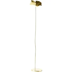 Papavero Delicato Dekoration L Blume goldfarben