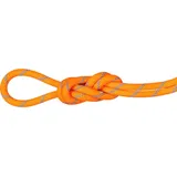 Mammut Alpine Sender Dry Rope 8.7 - Kletterseil / Halbseil / Zwillingsseil - vibrant orange-ocean (2285) 30 m