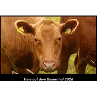 Vero Kalender Tiere auf dem Bauernhof 2026 Fotokalender DIN