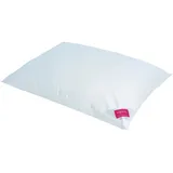 Hefel Textil GmbH Platinum Down Kissen 40 x 80 cm Weiß