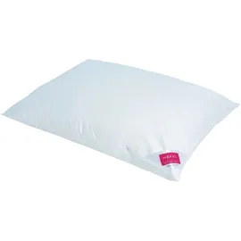 Hefel Textil GmbH Platinum Down Kissen 40 x 80 cm Weiß